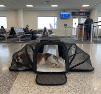 Rovello Voyager™ Expandable Pet Travel Carrier