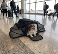 Rovello Voyager™ Expandable Pet Travel Carrier